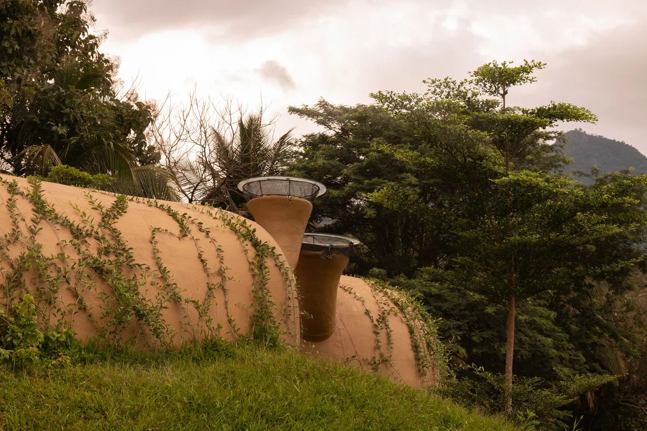 nha dat into the wild earthscape studio kien truc ben vung an do
