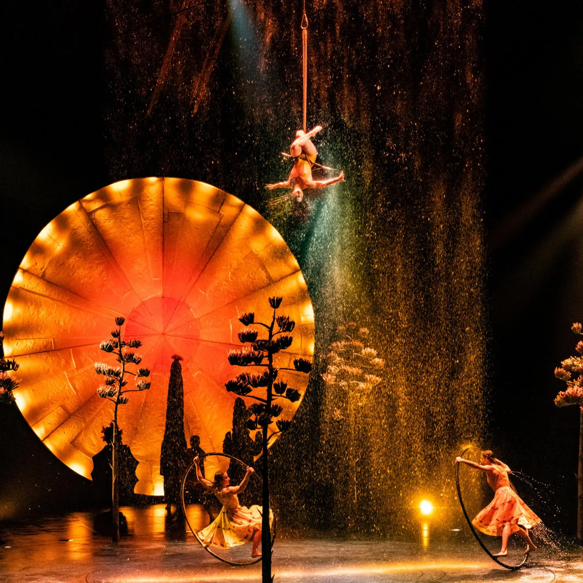 Corteo Luzia Cirque du Soleil Le Rêve The Dream Franco Dragone Traces Les 7 Doigts de la Main Knitting Peace Cirkus Cirkör vung dat ky bi cong vien gia dinh lang toi my village lune production