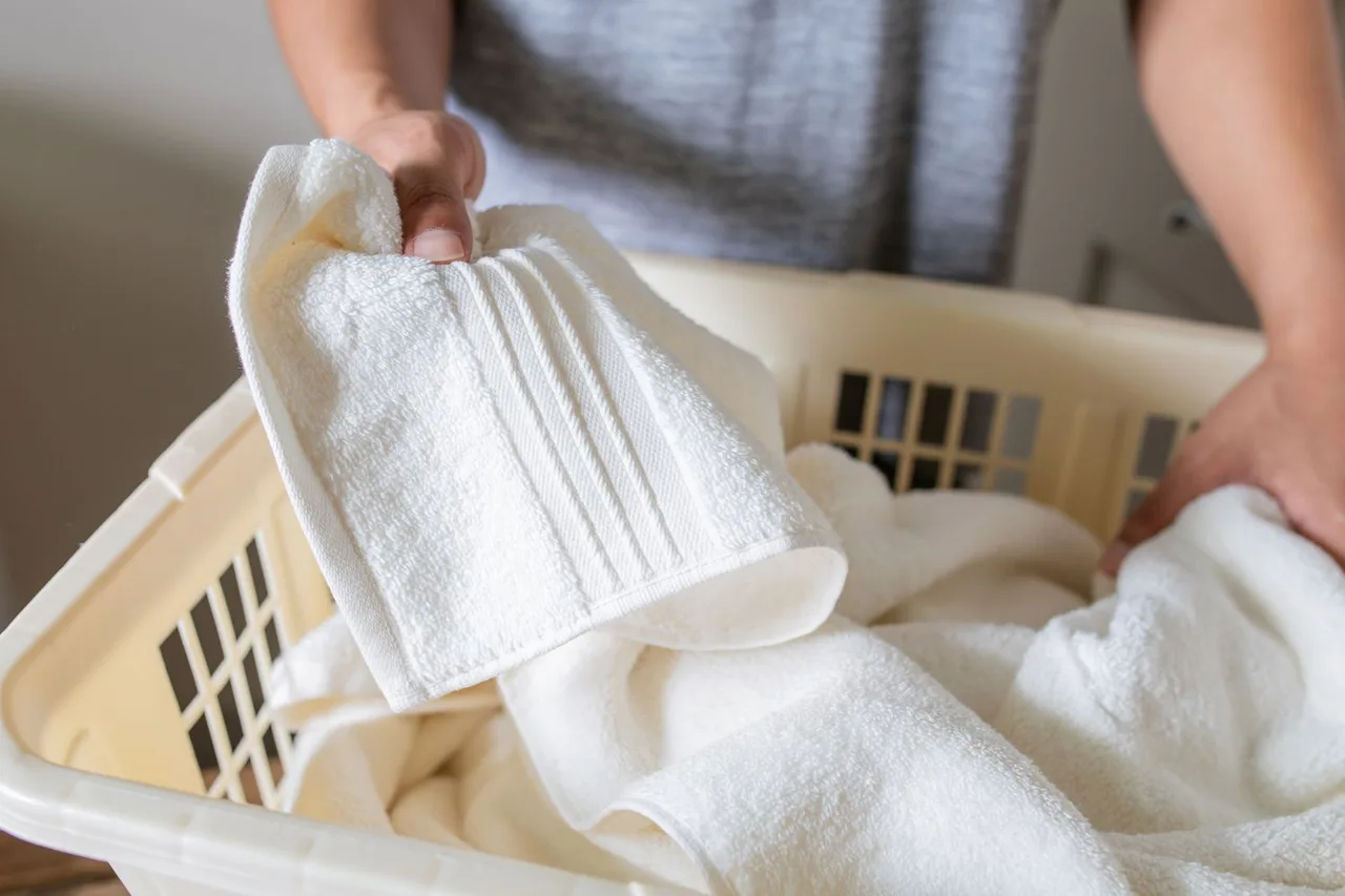 laundry giam vinegar