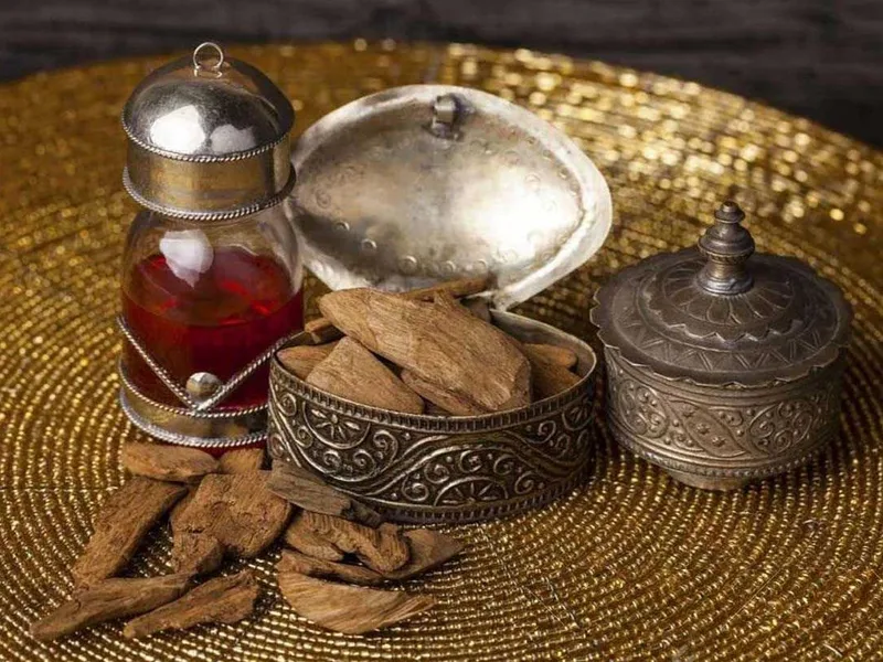 Trầm hương: Khi thương tích trở thành hương thơm