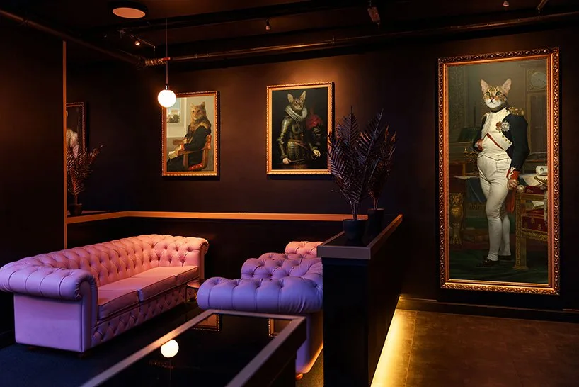 bar 5